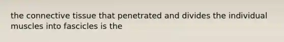the connective tissue that penetrated and divides the individual muscles into fascicles is the