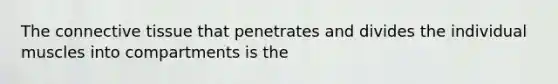 The connective tissue that penetrates and divides the individual muscles into compartments is the