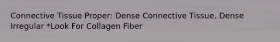 Connective Tissue Proper: Dense Connective Tissue, Dense Irregular *Look For Collagen Fiber