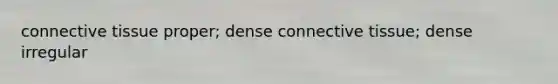 connective tissue proper; dense connective tissue; dense irregular