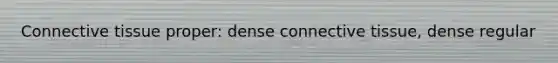 Connective tissue proper: dense connective tissue, dense regular