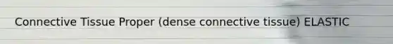 Connective Tissue Proper (dense connective tissue) ELASTIC