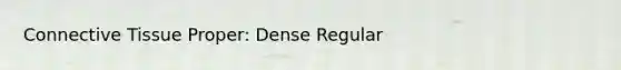 Connective Tissue Proper: Dense Regular