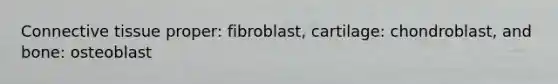 Connective tissue proper: fibroblast, cartilage: chondroblast, and bone: osteoblast