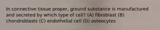 In connective tissue proper, ground substance is manufactured and secreted by which type of cell? (A) fibroblast (B) chondroblasts (C) endothelial cell (D) osteocytes