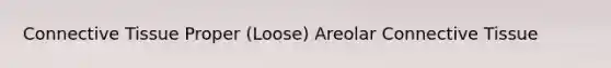 Connective Tissue Proper (Loose) Areolar Connective Tissue