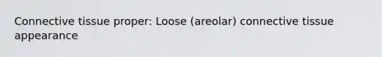 Connective tissue proper: Loose (areolar) connective tissue appearance