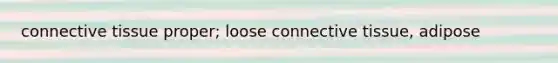 connective tissue proper; loose connective tissue, adipose