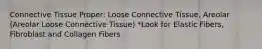 Connective Tissue Proper: Loose Connective Tissue, Areolar (Areolar Loose Connective Tissue) *Look for Elastic Fibers, Fibroblast and Collagen Fibers