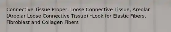 Connective Tissue Proper: Loose Connective Tissue, Areolar (Areolar Loose Connective Tissue) *Look for Elastic Fibers, Fibroblast and Collagen Fibers