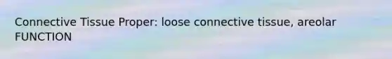 Connective Tissue Proper: loose connective tissue, areolar FUNCTION