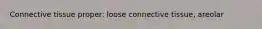 Connective tissue proper: loose connective tissue, areolar