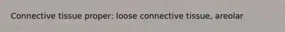 Connective tissue proper: loose connective tissue, areolar