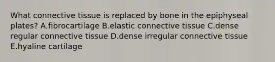 What connective tissue is replaced by bone in the epiphyseal plates? A.fibrocartilage B.elastic connective tissue C.dense regular connective tissue D.dense irregular connective tissue E.hyaline cartilage