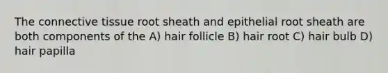 The connective tissue root sheath and epithelial root sheath are both components of the A) hair follicle B) hair root C) hair bulb D) hair papilla