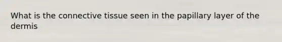 What is the connective tissue seen in the papillary layer of the dermis