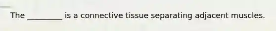 The _________ is a connective tissue separating adjacent muscles.