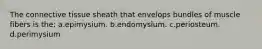 The connective tissue sheath that envelops bundles of muscle fibers is the: a.epimysium. b.endomysium. c.periosteum. d.perimysium