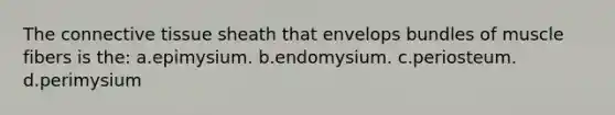 The connective tissue sheath that envelops bundles of muscle fibers is the: a.epimysium. b.endomysium. c.periosteum. d.perimysium