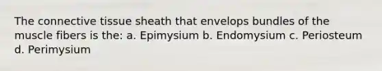 The connective tissue sheath that envelops bundles of the muscle fibers is the: a. Epimysium b. Endomysium c. Periosteum d. Perimysium