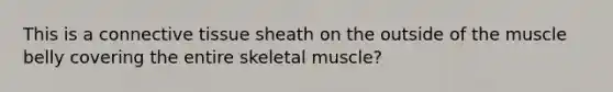 This is a connective tissue sheath on the outside of the muscle belly covering the entire skeletal muscle?