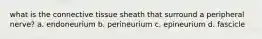 what is the connective tissue sheath that surround a peripheral nerve? a. endoneurium b. perineurium c. epineurium d. fascicle