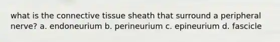 what is the <a href='https://www.questionai.com/knowledge/kYDr0DHyc8-connective-tissue' class='anchor-knowledge'>connective tissue</a> sheath that surround a peripheral nerve? a. endoneurium b. perineurium c. epineurium d. fascicle