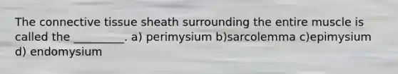 The connective tissue sheath surrounding the entire muscle is called the _________. a) perimysium b)sarcolemma c)epimysium d) endomysium