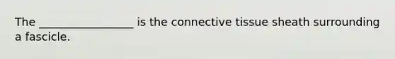 The _________________ is the connective tissue sheath surrounding a fascicle.