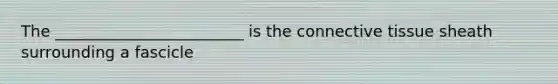The ________________________ is the connective tissue sheath surrounding a fascicle