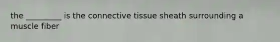 the _________ is the <a href='https://www.questionai.com/knowledge/kYDr0DHyc8-connective-tissue' class='anchor-knowledge'>connective tissue</a> sheath surrounding a muscle fiber