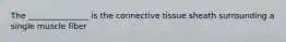 The _______________ is the connective tissue sheath surrounding a single muscle fiber