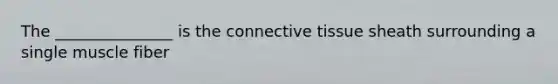 The _______________ is the <a href='https://www.questionai.com/knowledge/kYDr0DHyc8-connective-tissue' class='anchor-knowledge'>connective tissue</a> sheath surrounding a single muscle fiber