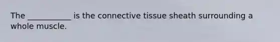 The ___________ is the connective tissue sheath surrounding a whole muscle.