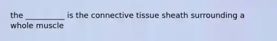 the __________ is the connective tissue sheath surrounding a whole muscle