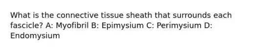 What is the connective tissue sheath that surrounds each fascicle? A: Myofibril B: Epimysium C: Perimysium D: Endomysium