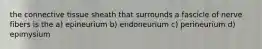 the connective tissue sheath that surrounds a fascicle of nerve fibers is the a) epineurium b) endoneurium c) perineurium d) epimysium