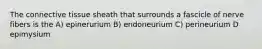 The connective tissue sheath that surrounds a fascicle of nerve fibers is the A) epinerurium B) endoneurium C) perineurium D epimysium