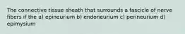 The connective tissue sheath that surrounds a fascicle of nerve fibers if the a) epineurium b) endoneurium c) perineurium d) epimysium