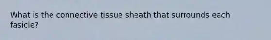 What is the connective tissue sheath that surrounds each fasicle?