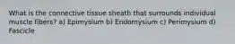 What is the connective tissue sheath that surrounds individual muscle fibers? a) Epimysium b) Endomysium c) Perimysium d) Fascicle