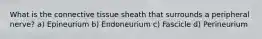 What is the connective tissue sheath that surrounds a peripheral nerve? a) Epineurium b) Endoneurium c) Fascicle d) Perineurium