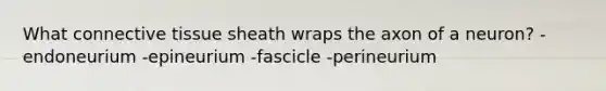 What connective tissue sheath wraps the axon of a neuron? -endoneurium -epineurium -fascicle -perineurium