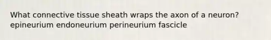 What connective tissue sheath wraps the axon of a neuron? epineurium endoneurium perineurium fascicle