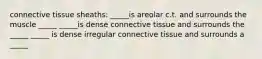 connective tissue sheaths: _____is areolar c.t. and surrounds the muscle _____ _____is dense connective tissue and surrounds the _____ _____ is dense irregular connective tissue and surrounds a _____