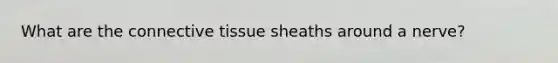 What are the connective tissue sheaths around a nerve?