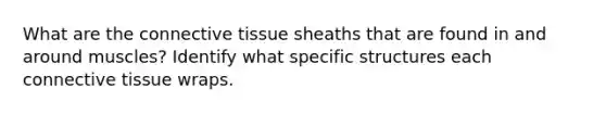 What are the <a href='https://www.questionai.com/knowledge/kYDr0DHyc8-connective-tissue' class='anchor-knowledge'>connective tissue</a> sheaths that are found in and around muscles? Identify what specific structures each connective tissue wraps.