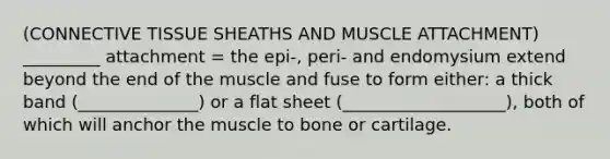 (CONNECTIVE TISSUE SHEATHS AND MUSCLE ATTACHMENT) _________ attachment = the epi-, peri- and endomysium extend beyond the end of the muscle and fuse to form either: a thick band (______________) or a flat sheet (___________________), both of which will anchor the muscle to bone or cartilage.