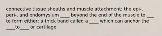 <a href='https://www.questionai.com/knowledge/kYDr0DHyc8-connective-tissue' class='anchor-knowledge'>connective tissue</a> sheaths and muscle attachment: the epi-, peri-, and endomysium ____ beyond the end of the muscle to ___ to form either: a thick band called a ____ which can anchor the ____to____ or cartilage