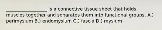 __________________ is a connective tissue sheet that holds muscles together and separates them into functional groups. A.) perimysium B.) endomysium C.) fascia D.) mysium